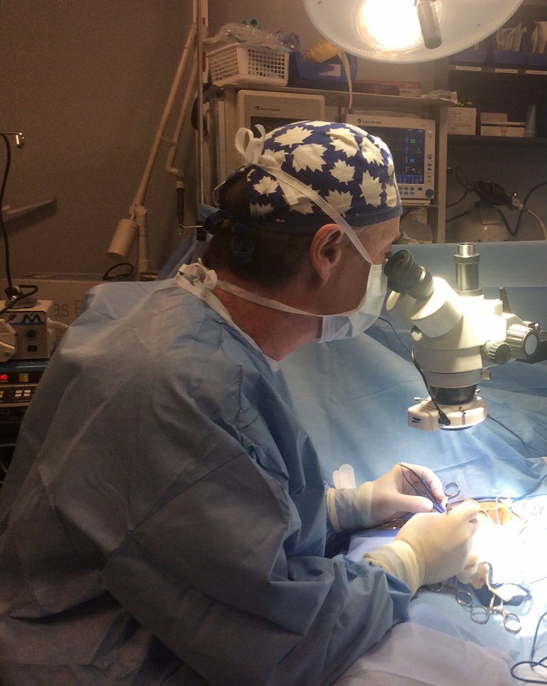 Dr Sproule using microscope during surgery